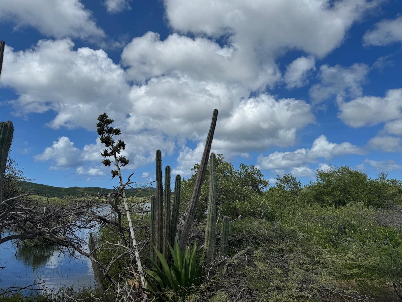 Santa Martha Bay