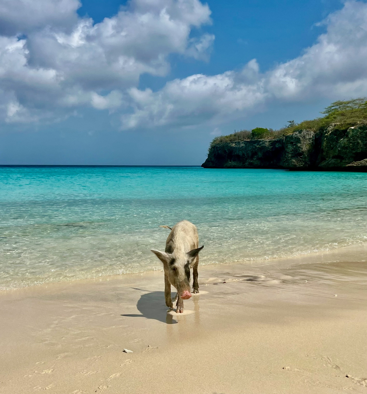 Playa Porto Marie