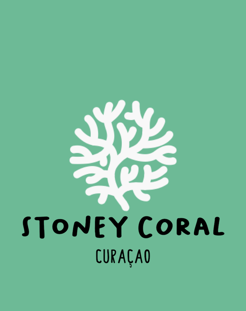 Stoney Coral Curaçao