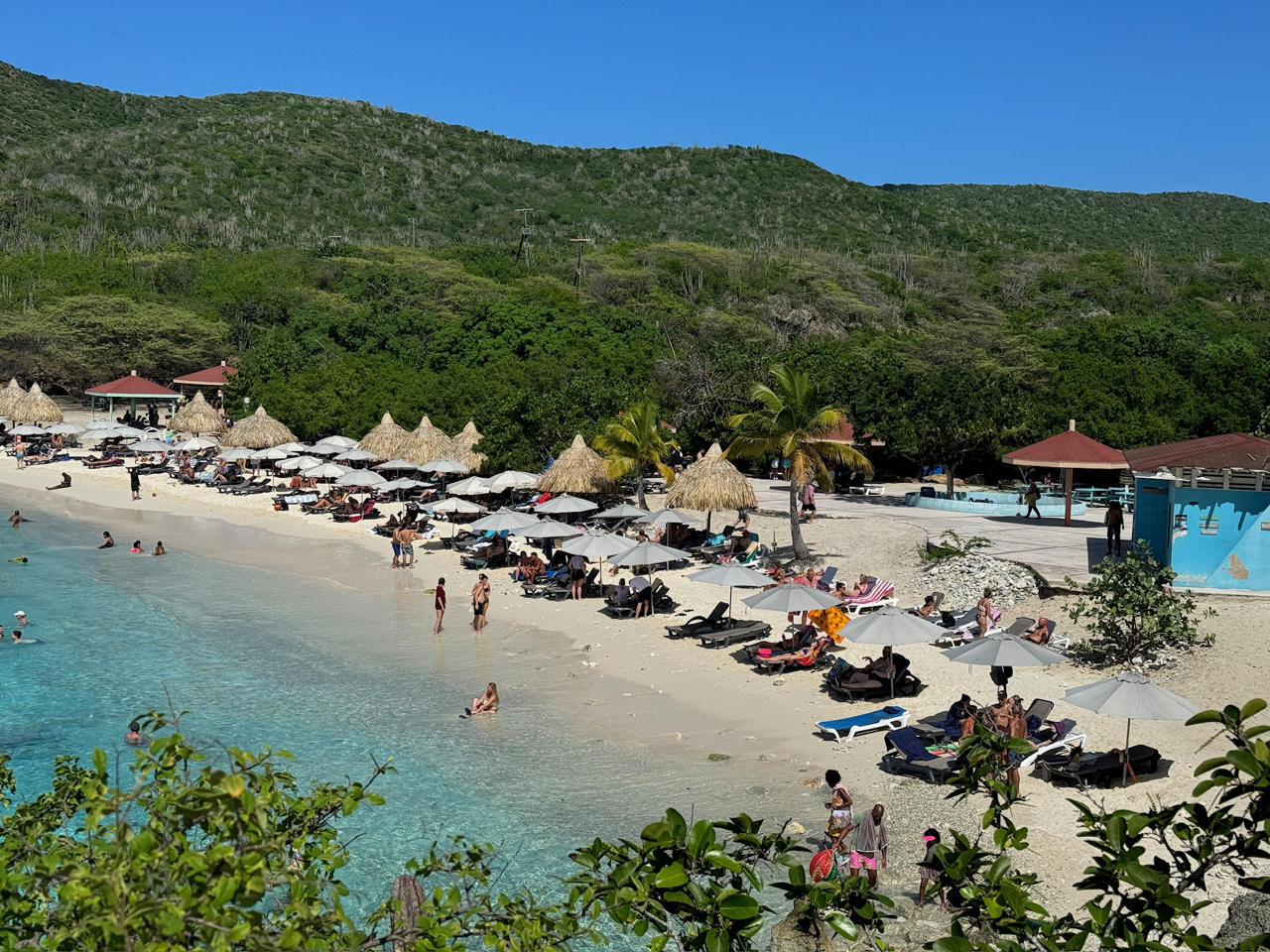 Grote Knip - Playa Kenepa Grandi