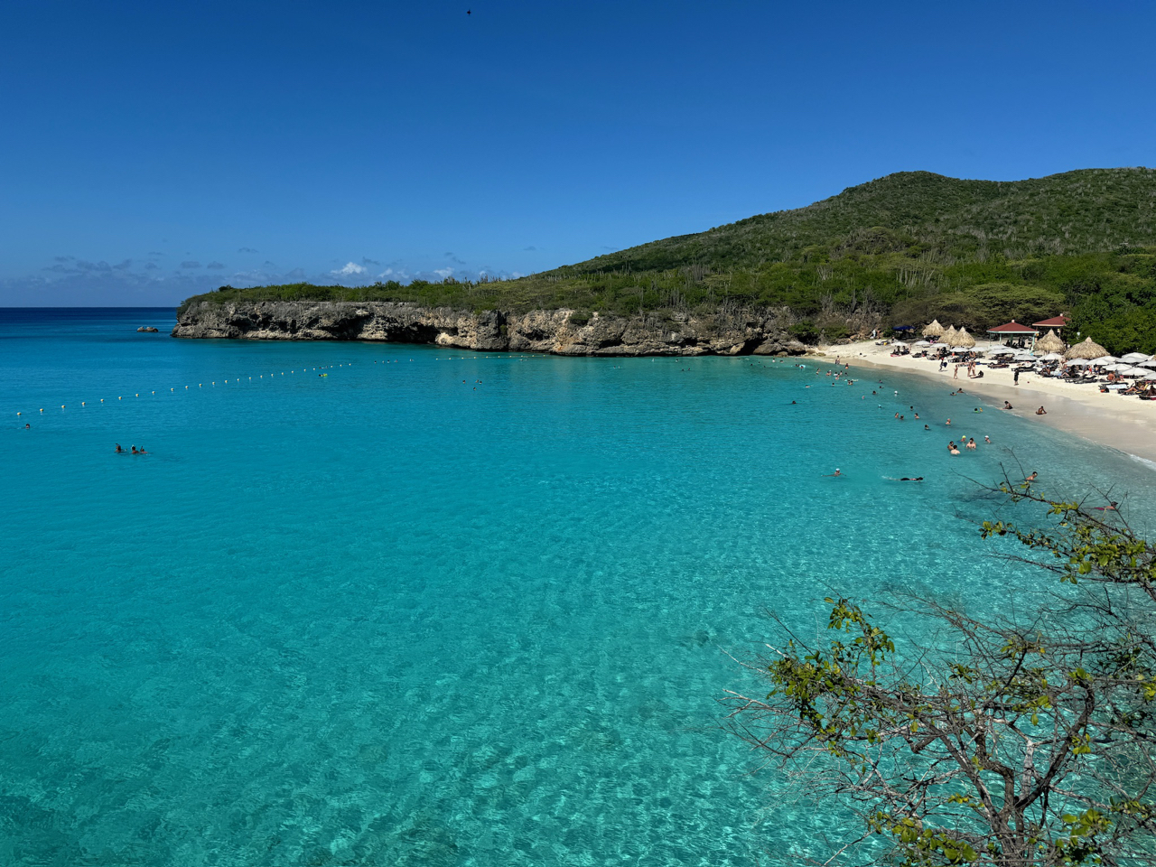 Grote Knip - Playa Kenepa Grandi